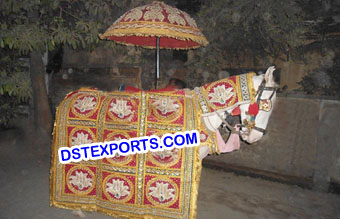 Indian Wedding Ghodi Ka Saaj Costumes